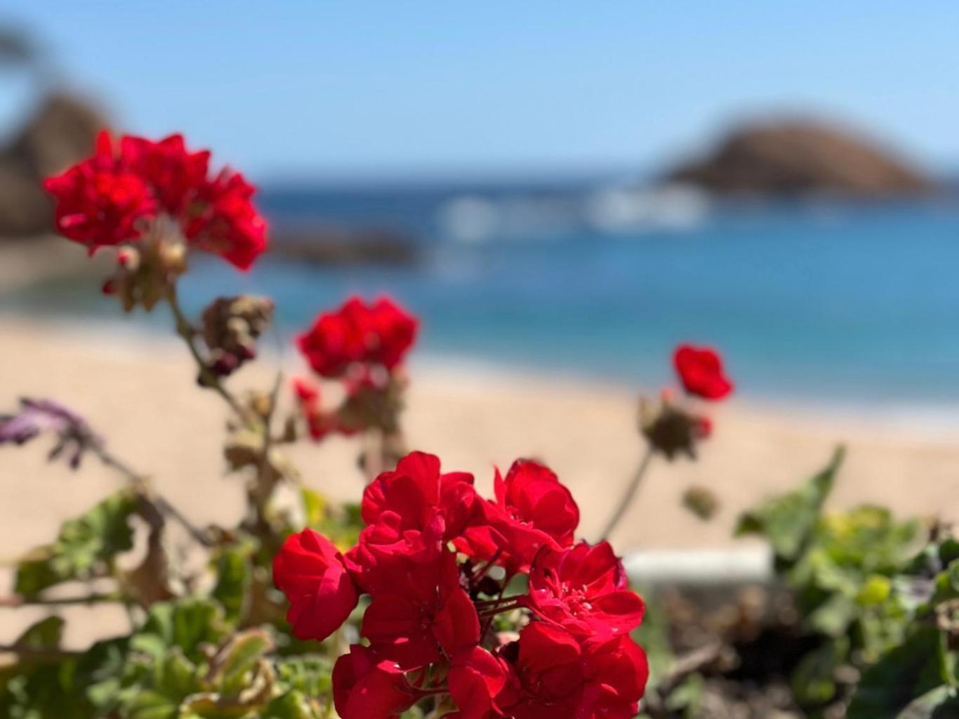 ブラナスAtico Con Vistas Al Mar A Un Paso Del Centroアパートメント エクステリア 写真