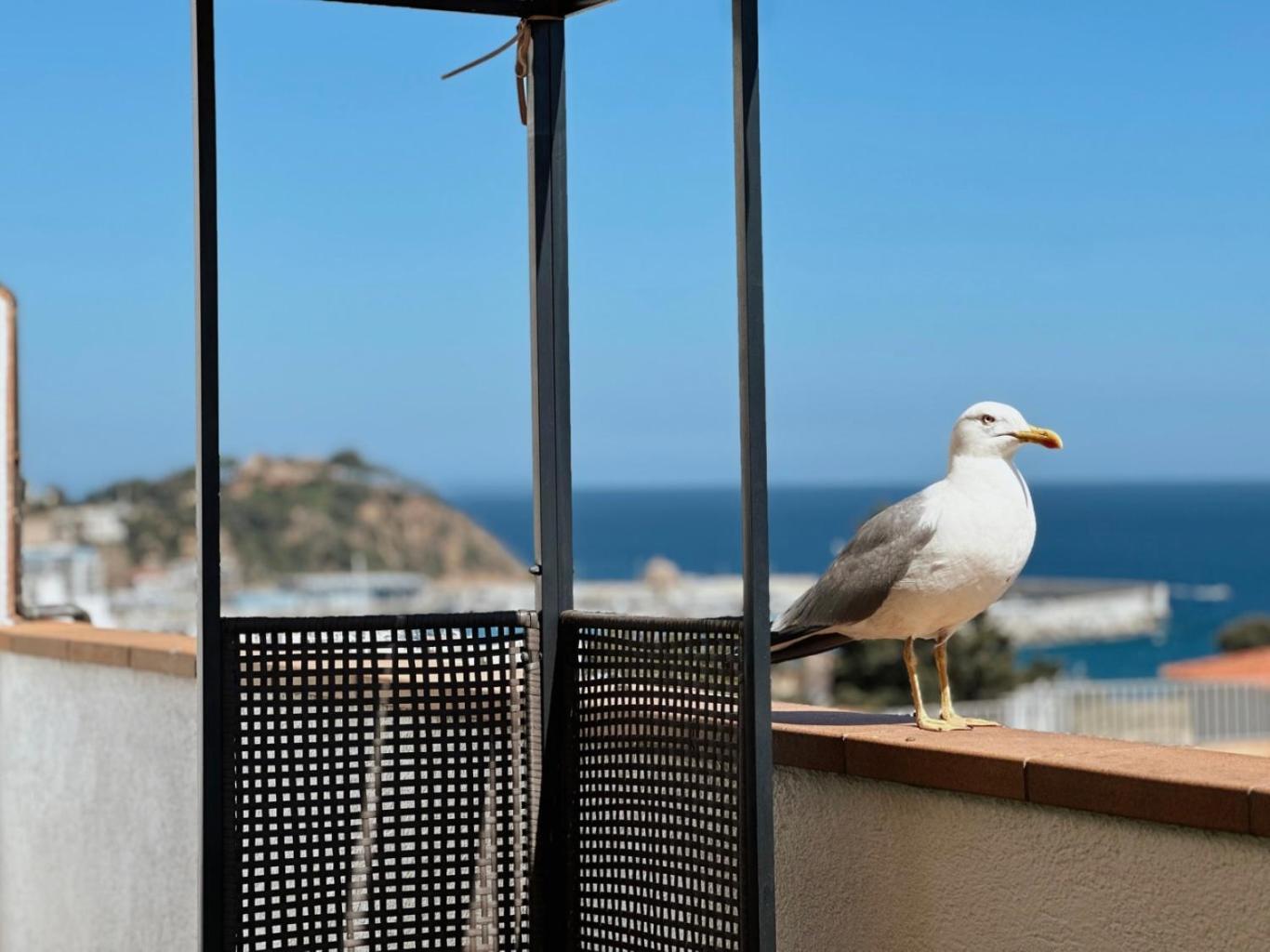 ブラナスAtico Con Vistas Al Mar A Un Paso Del Centroアパートメント エクステリア 写真